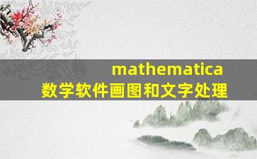 mathematica数学软件画图和文字处理