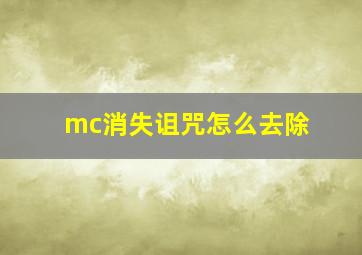 mc消失诅咒怎么去除