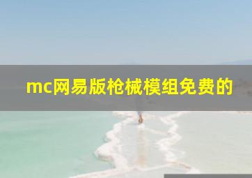 mc网易版枪械模组免费的