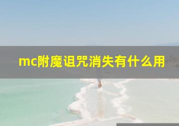 mc附魔诅咒消失有什么用