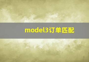 model3订单匹配