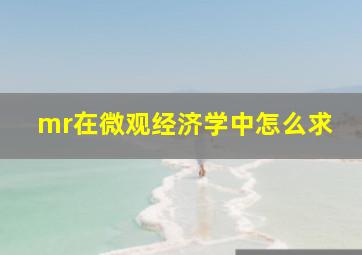 mr在微观经济学中怎么求