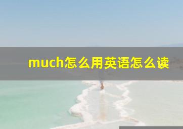 much怎么用英语怎么读