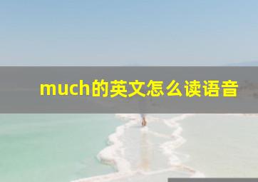 much的英文怎么读语音