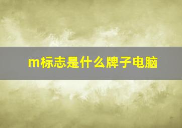 m标志是什么牌子电脑