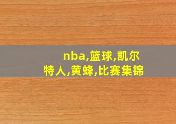 nba,篮球,凯尔特人,黄蜂,比赛集锦