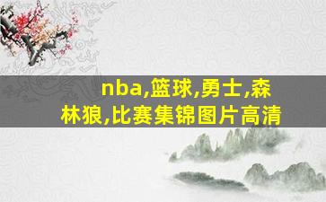 nba,篮球,勇士,森林狼,比赛集锦图片高清