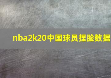 nba2k20中国球员捏脸数据