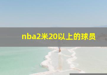 nba2米20以上的球员