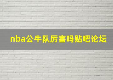 nba公牛队厉害吗贴吧论坛