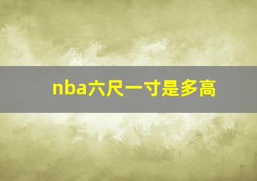 nba六尺一寸是多高