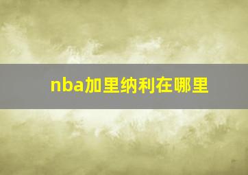 nba加里纳利在哪里