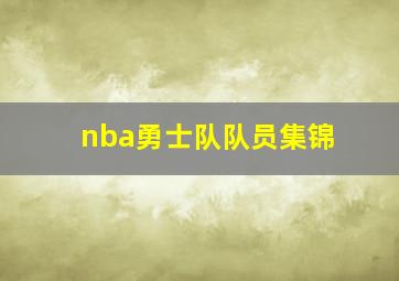 nba勇士队队员集锦