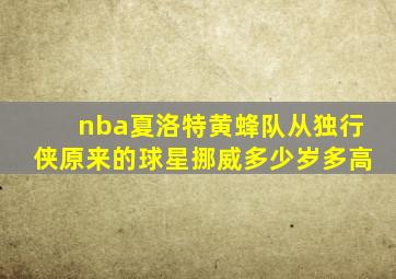 nba夏洛特黄蜂队从独行侠原来的球星挪威多少岁多高