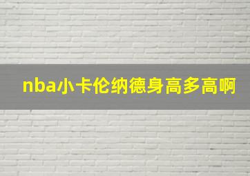 nba小卡伦纳德身高多高啊