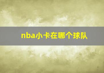 nba小卡在哪个球队