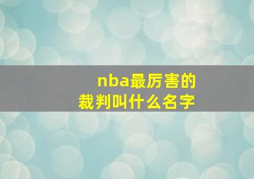 nba最厉害的裁判叫什么名字