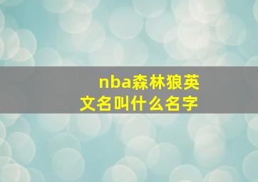 nba森林狼英文名叫什么名字