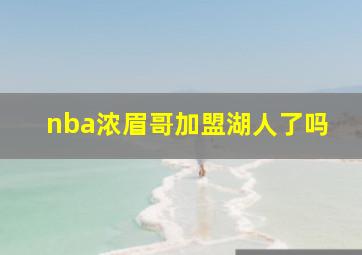 nba浓眉哥加盟湖人了吗