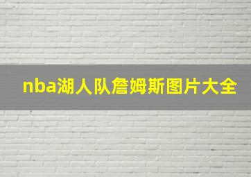 nba湖人队詹姆斯图片大全