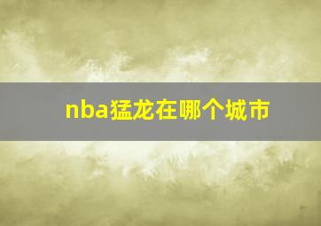 nba猛龙在哪个城市