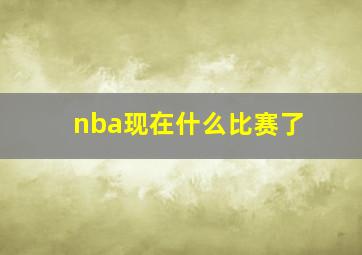 nba现在什么比赛了