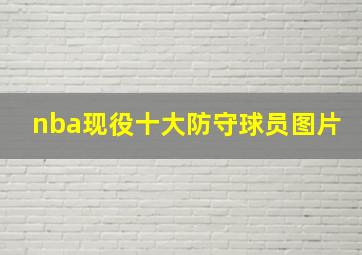 nba现役十大防守球员图片