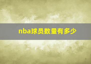 nba球员数量有多少