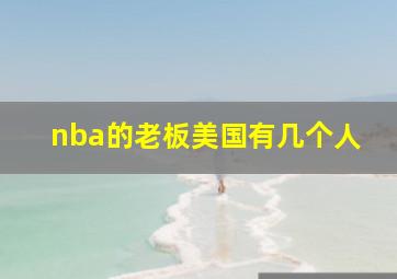 nba的老板美国有几个人