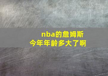 nba的詹姆斯今年年龄多大了啊