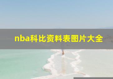 nba科比资料表图片大全