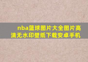 nba篮球图片大全图片高清无水印壁纸下载安卓手机