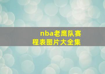 nba老鹰队赛程表图片大全集