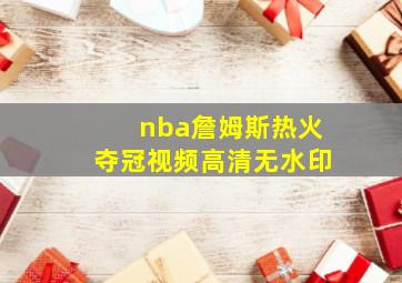 nba詹姆斯热火夺冠视频高清无水印