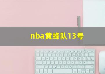 nba黄蜂队13号