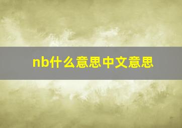 nb什么意思中文意思