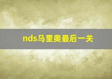 nds马里奥最后一关