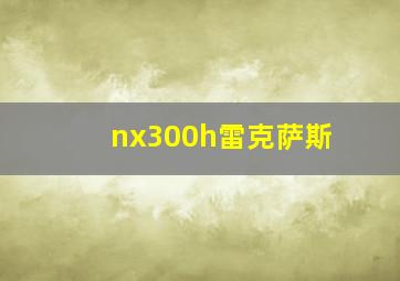 nx300h雷克萨斯