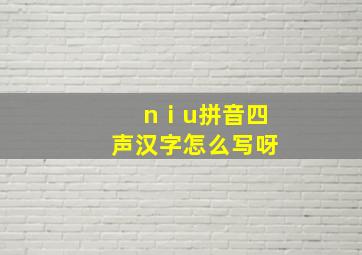 nⅰu拼音四声汉字怎么写呀