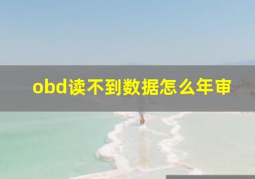 obd读不到数据怎么年审