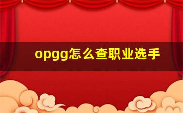 opgg怎么查职业选手