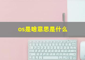 os是啥意思是什么