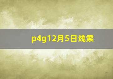 p4g12月5日线索