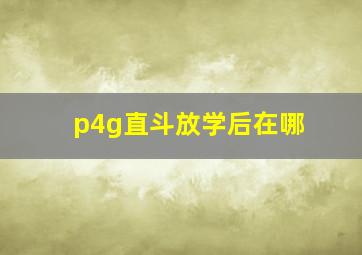 p4g直斗放学后在哪