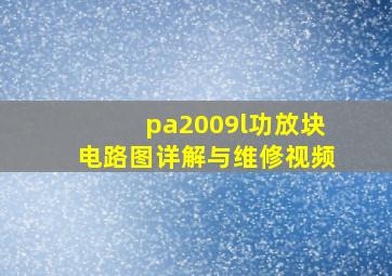 pa2009l功放块电路图详解与维修视频