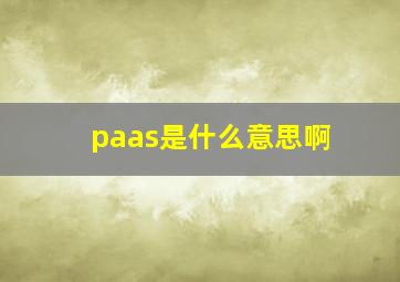 paas是什么意思啊