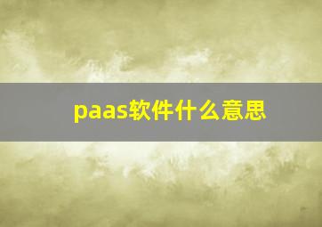 paas软件什么意思