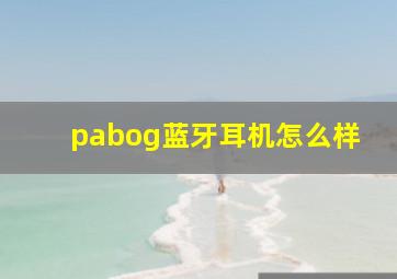 pabog蓝牙耳机怎么样