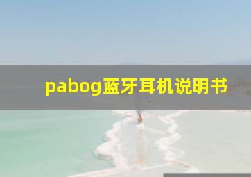 pabog蓝牙耳机说明书