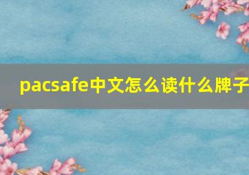 pacsafe中文怎么读什么牌子